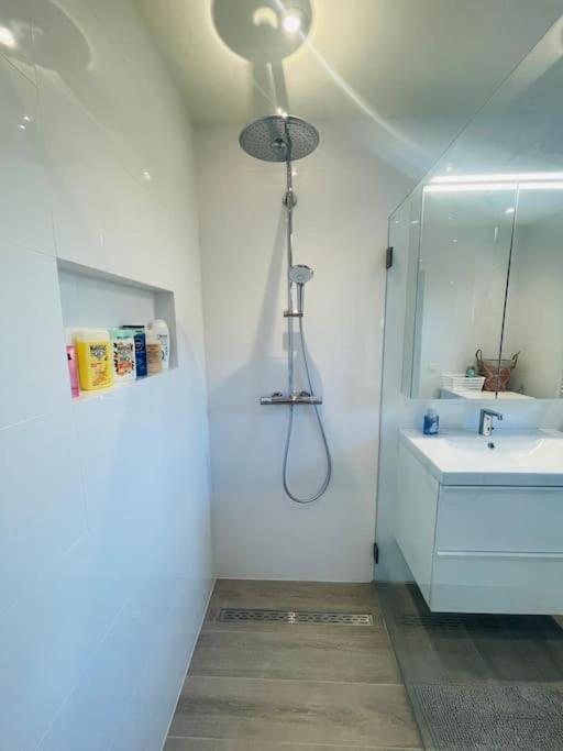 Prachtig Guesthouse Met Gratis Parkeren Maasmechelen Ngoại thất bức ảnh