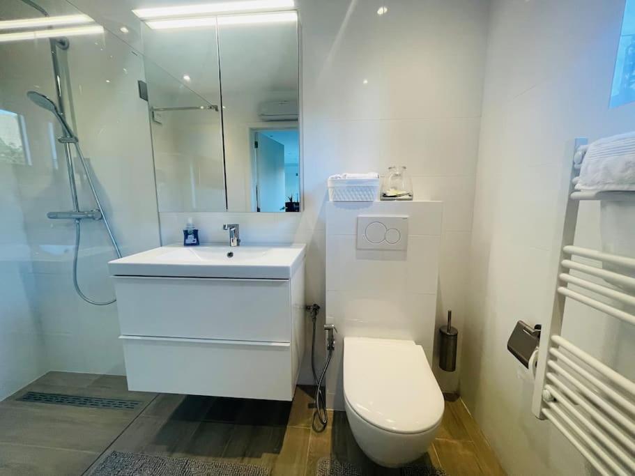 Prachtig Guesthouse Met Gratis Parkeren Maasmechelen Ngoại thất bức ảnh