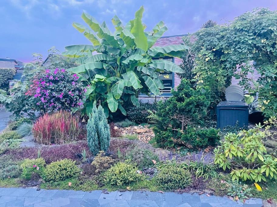 Prachtig Guesthouse Met Gratis Parkeren Maasmechelen Ngoại thất bức ảnh