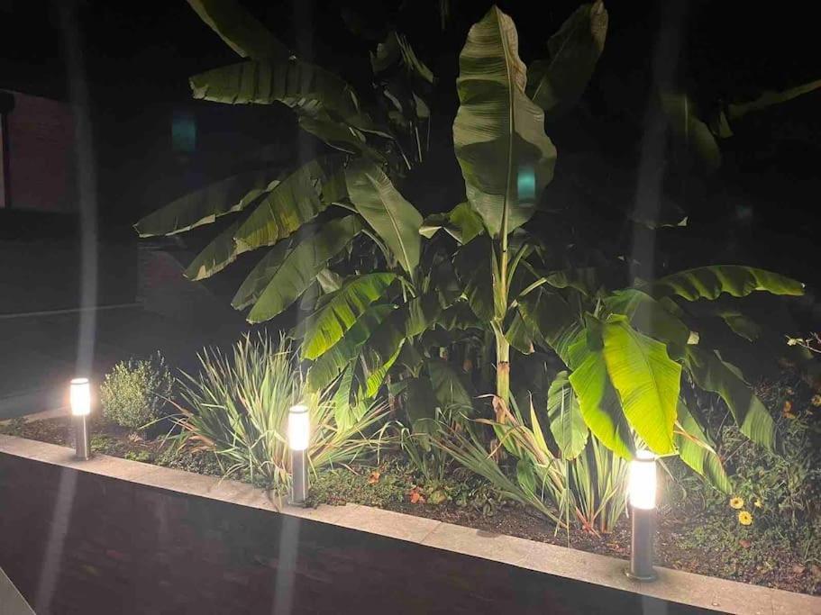 Prachtig Guesthouse Met Gratis Parkeren Maasmechelen Ngoại thất bức ảnh